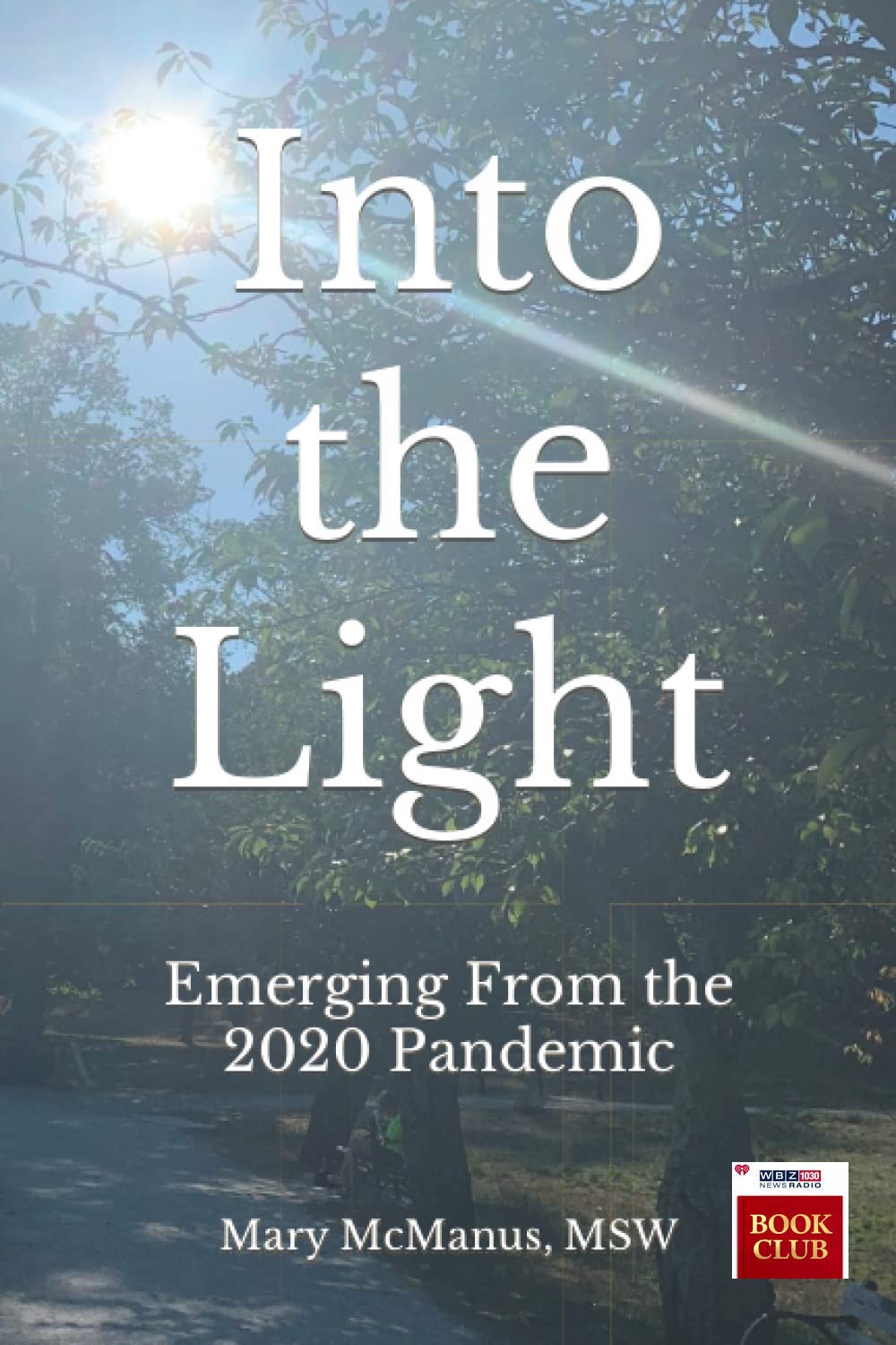 Into the Light Book Cover